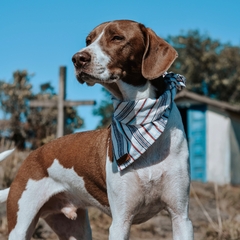 Bandana para cachorro - Itatiaia na internet