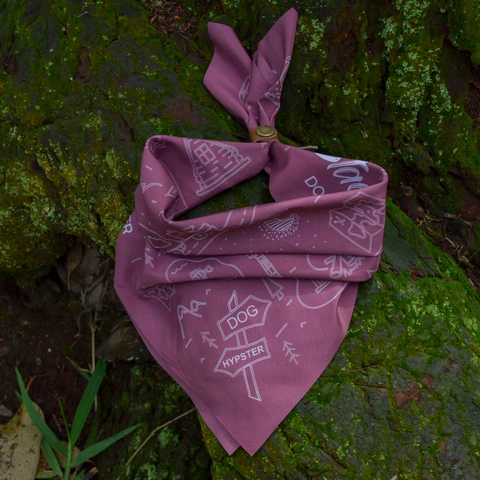 Bandana para Cachorro - Map