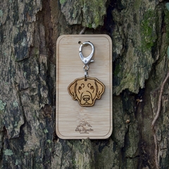 Tag de Identificação Labrador - comprar online