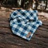 Bandana para cachorro - Gonçalves