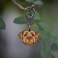 Tag de Identificação Rottweiler