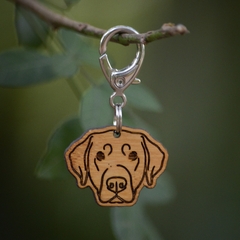 Tag de Identificação Labrador