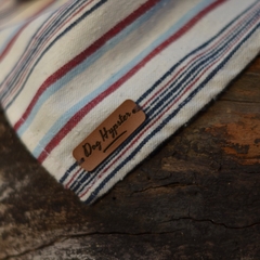 Bandana para cachorro - Itatiaia - comprar online