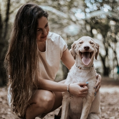 Colar para Cachorro - Amazonita - loja online