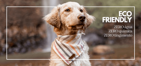 Imagem do banner rotativo Dog Hypster Bandanas para Cachorros