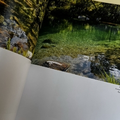 Livro Minas em foco - comprar online