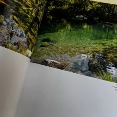 Livro Minas em foco - comprar online