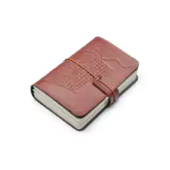 Diário de Bordo Aarão Reis