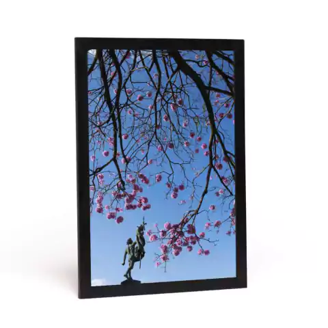 Fotografia Guiles - Monumento à Terra Mineira