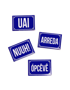 Imãs Mineirês em Resina