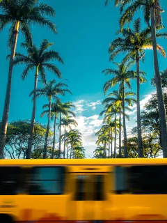 Fotografia Leo Salvo - Liberdade Circular - comprar online