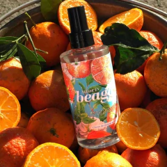 Água Perfumada para Ambientes - Quintal de Casa - comprar online