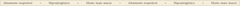 Banner da categoria Baby