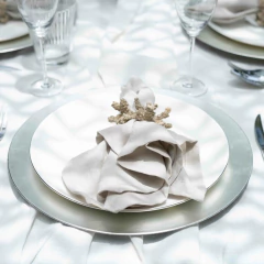 Kit com 2 Guardanapos 100% Linho Europeu - HOUSE OF LINHO