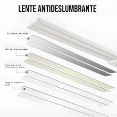 LÁMPARA DOBLE LUZ INALÁMBRICA TÁCTIL - La Bolucompra