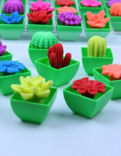 CACTUS CRECE EN EL AGUA - comprar online