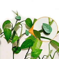 GANCHOS X10 PARA FIJAR PLANTAS O CABLES - La Bolucompra