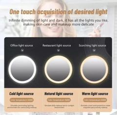 Portacosmético Maletín con Espejo - La Bolucompra