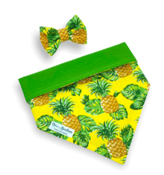 Bandana e laço abacaxi tropical dupla face verde para pet
