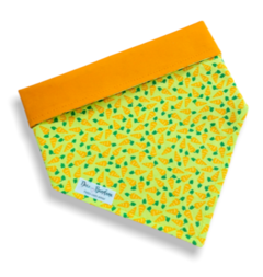 Bandana cenourinhas dupla face laranja para pet