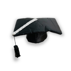 Chapéu de formatura para pet