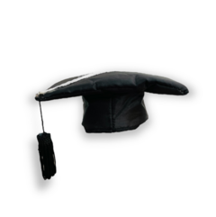 Chapéu de formatura para pet - comprar online