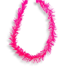 Colar rosa carnaval