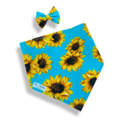 Bandana e laço girassol fundo azul celeste para pet