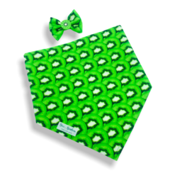 Bandana e laço kiwi para pet