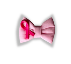 Laço rosa com fita de conscientização do Outubro Rosa para pets