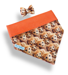 Bandana dupla face laranja com estampa de rostinhos de leões e laço combinando para pets.