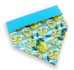 Bandana limão siciliano listrado dupla face tiffany para pet