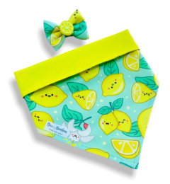 Bandana e laço limãozinho feliz dupla face amarelo para pet