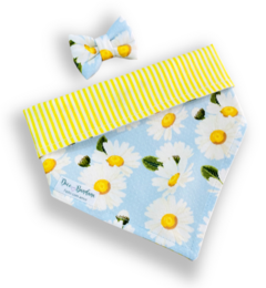 Bandana e laço margarida azul dupla face listrada para pet