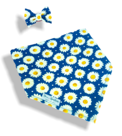 Bandana e laço margaridas fundo azul para pet