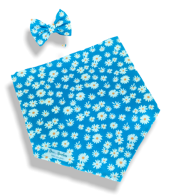 Bandana e laço margaridinhas fundo azul para pet