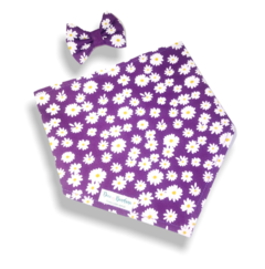 Bandana e laço margaridinhas fundo lilás para pet