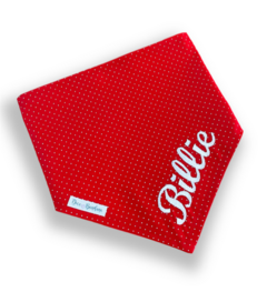 Bandana bolinhas vermelhas com nome do pet
