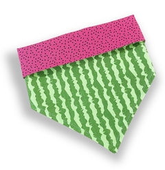 Bandana melancia sementinhas e casca para pet - comprar online