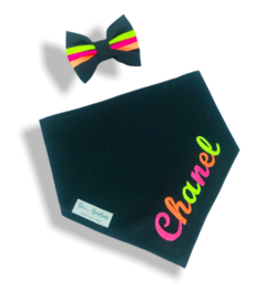 Bandana e laço preta com nome neon do pet