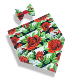 Bandana e laço rosas listrado para pet