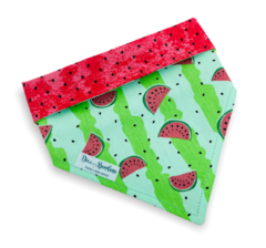 Bandana melancia sementes e casca para pet - comprar online
