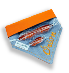 Bandana Trend jeans com laranja personalizada com nome do pet