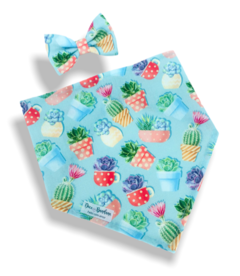 Bandana e laço vasinhos de cactos para pet