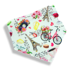 Bandana viagem a Paris para pet