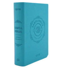 Biblia NVI 04 LG PJR - Kairos Libreria Cristiana