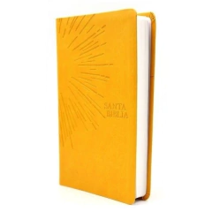 Biblia NTV 06 Agape - comprar online