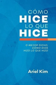 Cómo hice lo que hice