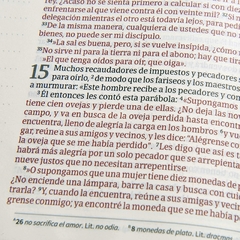 Biblia de apuntes LG NVI
