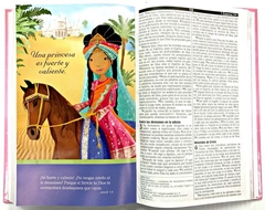 Biblia NVI Princesa en internet